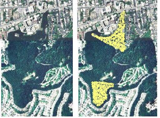 whole forest comparison