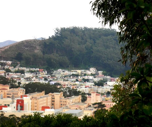 Mount Davidson - also at risk