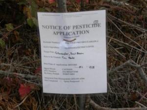 Roundup Pro and Garlon