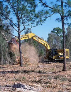 brontosaurus tree grinder stephen ausmus usda picture