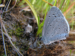 Source: Katja Schultz, Wikimedia Creative Commons