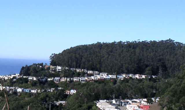 Mount Sutro forest viewed from southeast (Twin Peaks)