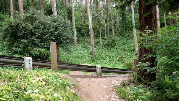 10. Fairy Gates Trail meets Medical Center Way - Tony Holiday