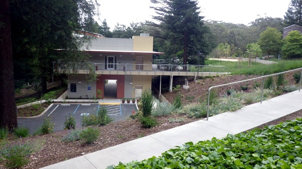 11. Aldea Center - Tony Holiday