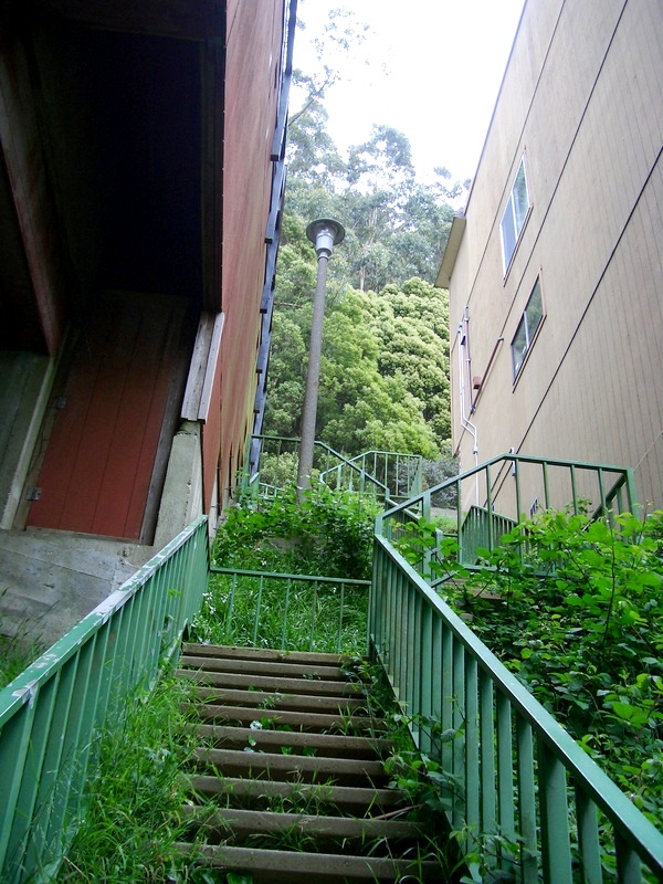 13. Oakhurst Lane 2 - Tony Holiday