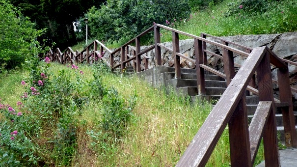 135 steps on this side - Tony Holiday