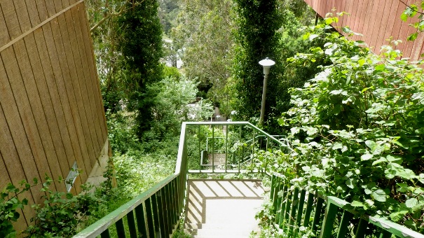 14. Oakhurst Lane 3 - Tony Holiday