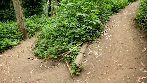 lower historic trail 4 - Tony Holiday