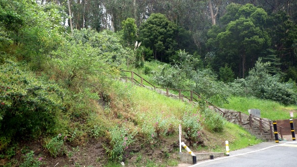 North stairs up from Medical Center Way - Tony Holiday