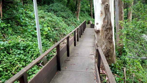 Partway up - Tony Holiday