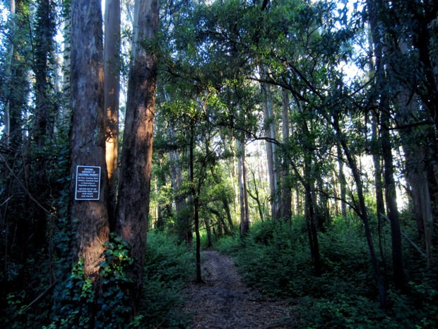 south ridge trail