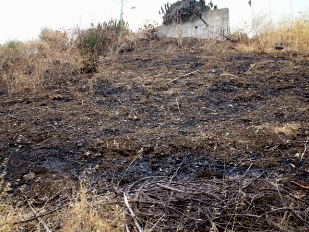 bernal grassfire May 2013 - Janet Kessler