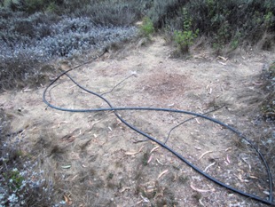 sprinkler system pipes