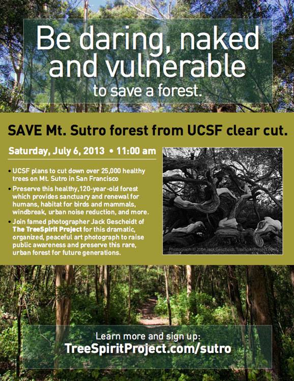 treespiritproject - sutro forest