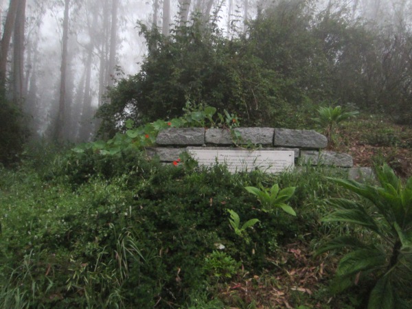 Mt Sutro Forest native plant garden sign