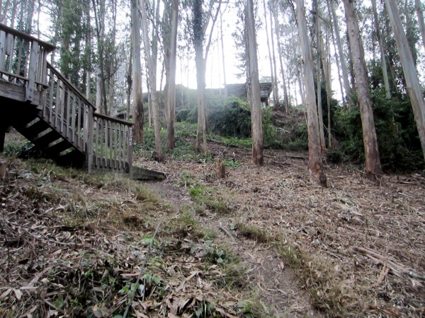 north of Aldea campus