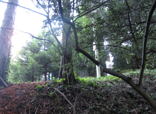 the fairy gates trail - not so secluded