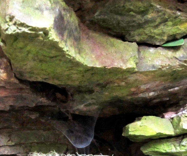 interesting spider web