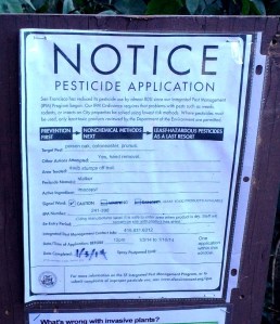 pesticide notice jan 3 2014 imazapyr sutro forest poison oak cotoneaster prunus
