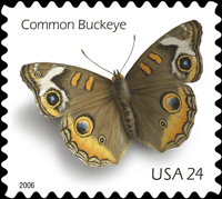 common buckeye butterfly stamp