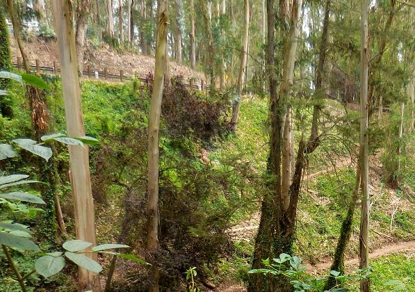 deforested area above and beneath medical center way