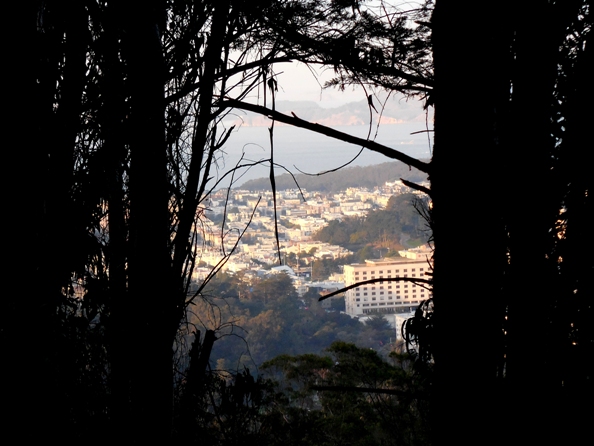 pix9 098 view window