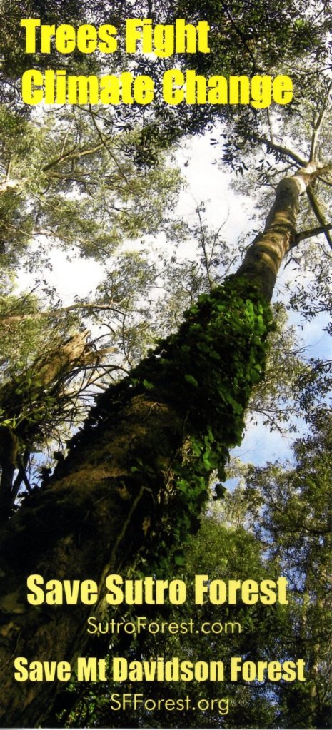 sutro tree message card sm