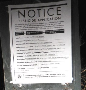 twin peaks - jan 2015 - imazapyr and garlon for poison oak cotoneaster oxalis