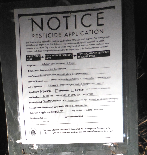 twin peaks - jan 2015 - imazapyr and garlon for poison oak cotoneaster oxalis