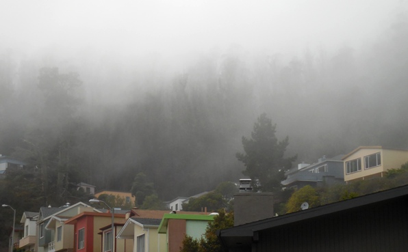 fog over sutro forest - 13 sept 2015