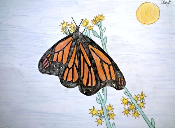 Addy-'The Monarch in Golden Gate Park' sm