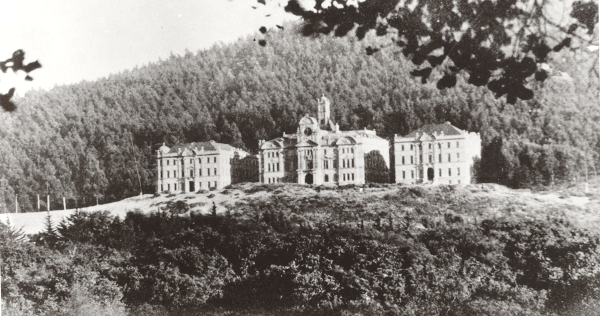 Affiliated Colleges with Sutro Forest in the background sm