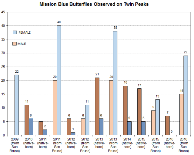 Mission Blue butterfly on Twin Peaks San Francisco by sex 2009-16