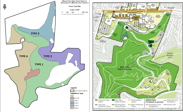 Forest type and trail map