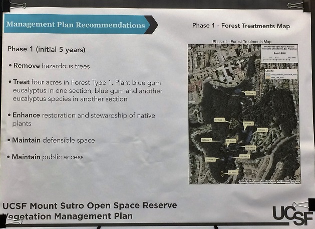 phase-1-sutro-forest-plan-2016