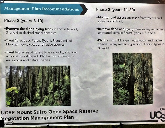 sutro-forest-plan-phase-2-and-3