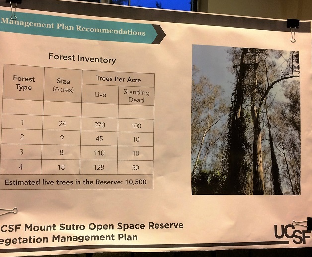 tree-assessment-in-sutro-forest-2016