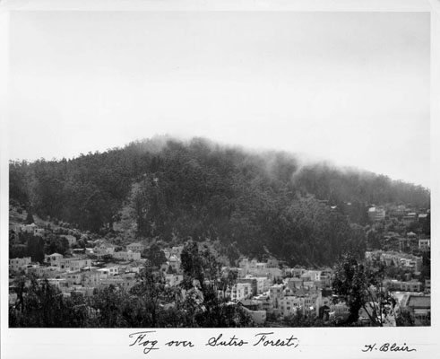 Fog over Sutro Forest - SAN FRANCISCO HISTORY CENTER, SAN FRANCISCO PUBLIC LIBRARY. www.sfpl.org/sfphotos